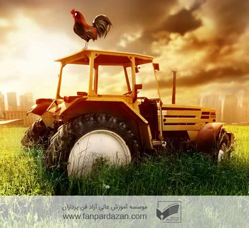 Business management in agriculture and animal husbandry