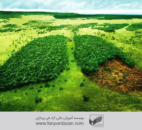 Health and Environment Management